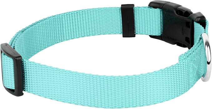 Country Brook Petz - Everyday Nylon Dog Collar and Leash - 10+ Cool Colors (1 Inch, Large, Light Cyan)