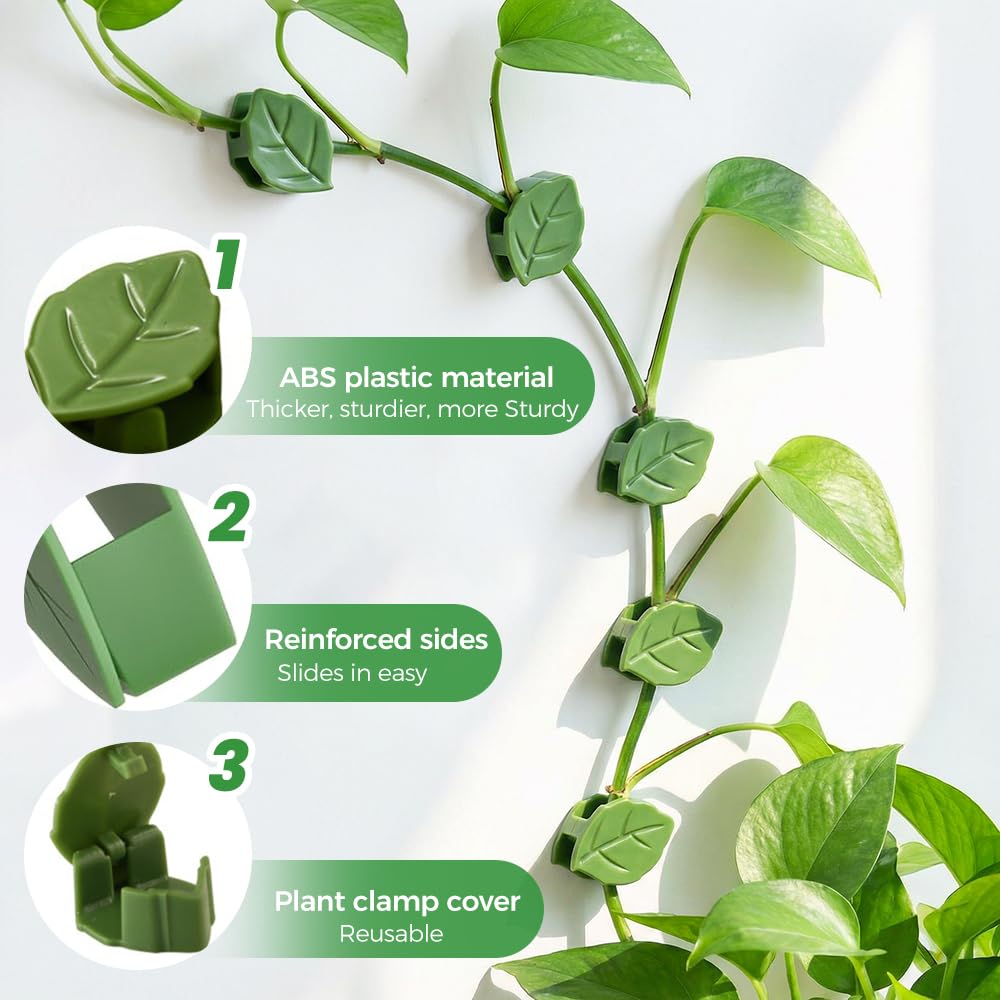 60 Pcs Plant Climbing Wall Fixture Clips with Acrylic Adhesive Stickers, Leaf Fixer Invisible Wall Vines Fixing Clips Self-Adhesive Hook Plant Vine Traction for Indoor Outdoor Decoration (60 Pcs)