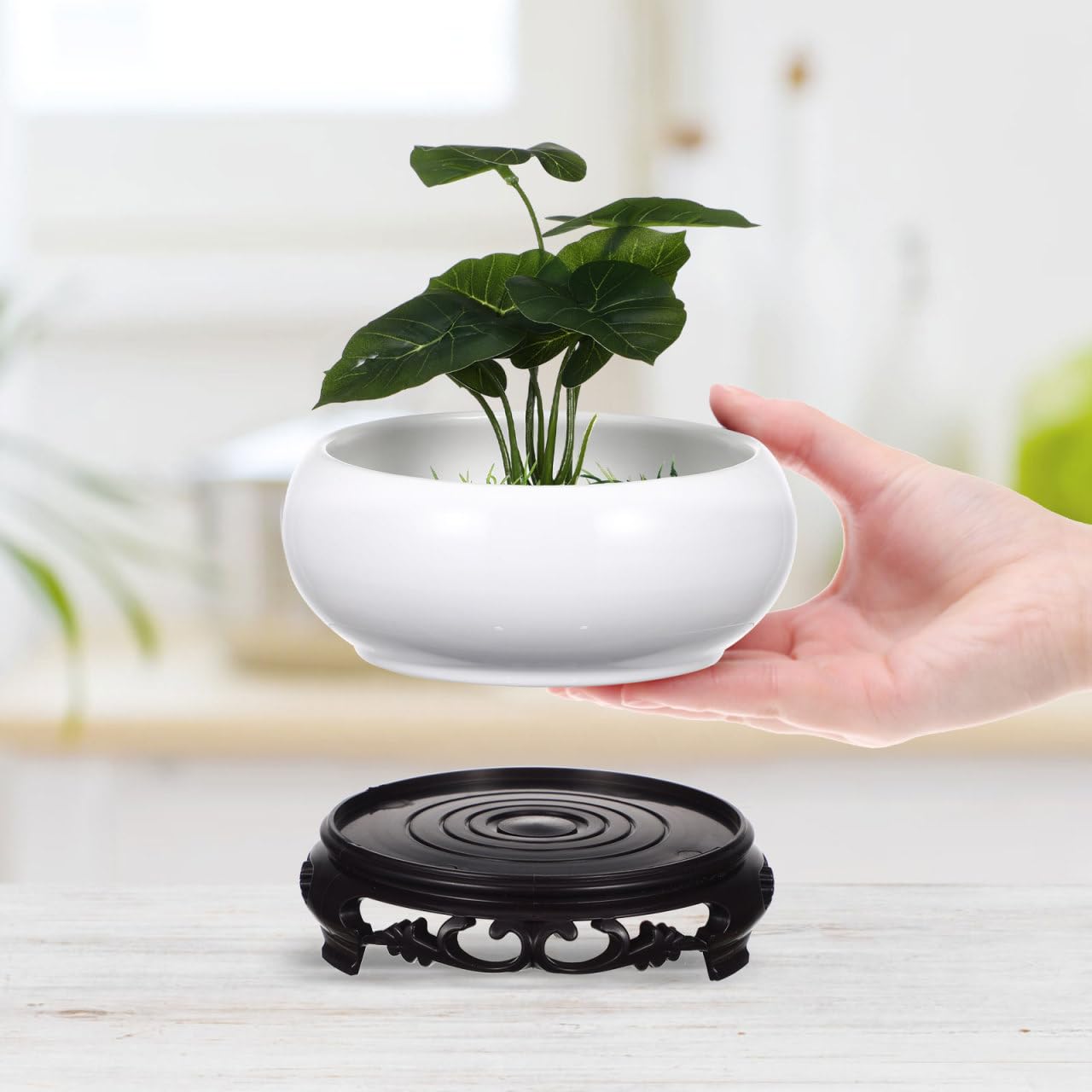 Toddmomy 6.3 Inch Lotus Ceramic Bowl Planter, Hydroponic Pot with Detachable Base, No Drainage Hole Container for Indoor Zen Decor, Office Desktop Water Gardening