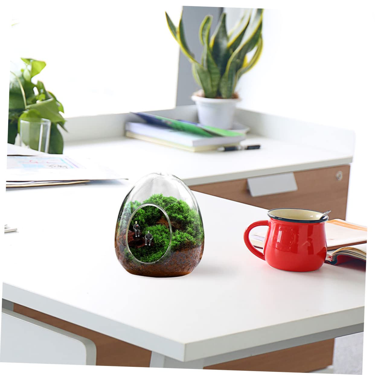 BESPORTBLE Glass Plant Bottle Decorative Micro Landscaping Air Plant Terrarium for Home