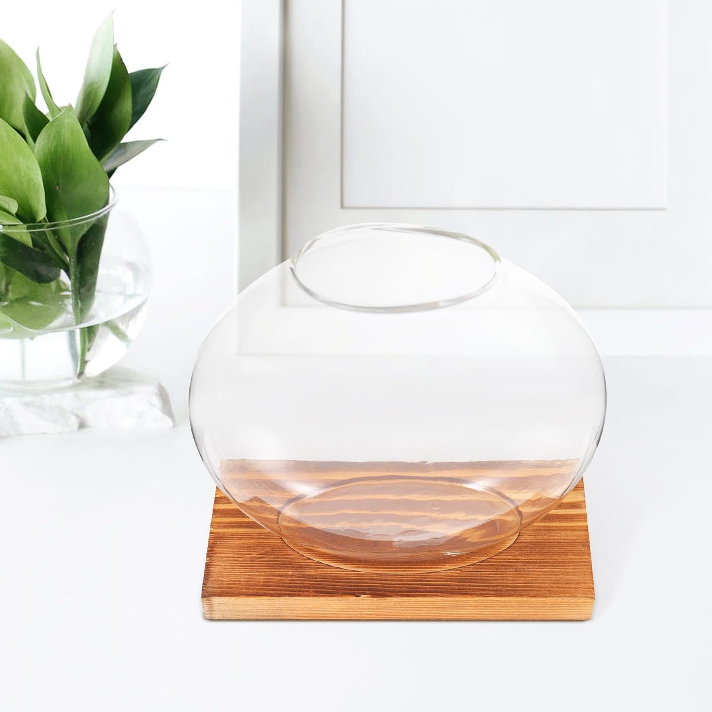 TOKIDNY Glass Plant Vase with Retro Wooden Base for Hydroponic Green Vine Propagation, Home and Office Decorative Flower Bottle Terrarium, Desktop Hydroponic Planter for Living Room