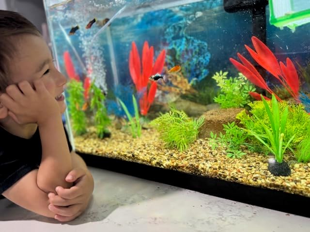 EcoBio-Block Natural Volcanic Rock for Aquarium Water Clarity & Balance — Low-Maintenance Alternative to Weekly Additives — for Freshwater Fish, Turtles, Shrimp & Frogs (Nano 2-Pack, 0.8-1.5 gal ea.)