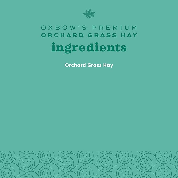 Oxbow Orchard Grass Hay, Rabbit & Guinea Pig Hay, High Fiber for Digestive Health, Grown in USA, Veterinarian Recommended Small Pet Supplies, Bulk Food for Rabbits, Guinea Pigs, & Chinchillas, 20 lbs