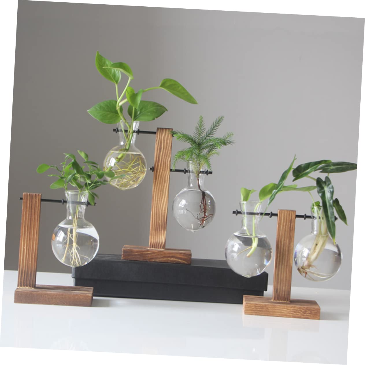 Hemoton 2pcs Hydroponic Glass Vase Wooden Base Stand Modern Plant Terrarium Tabletop Vase for Indoor Gardening Stylish