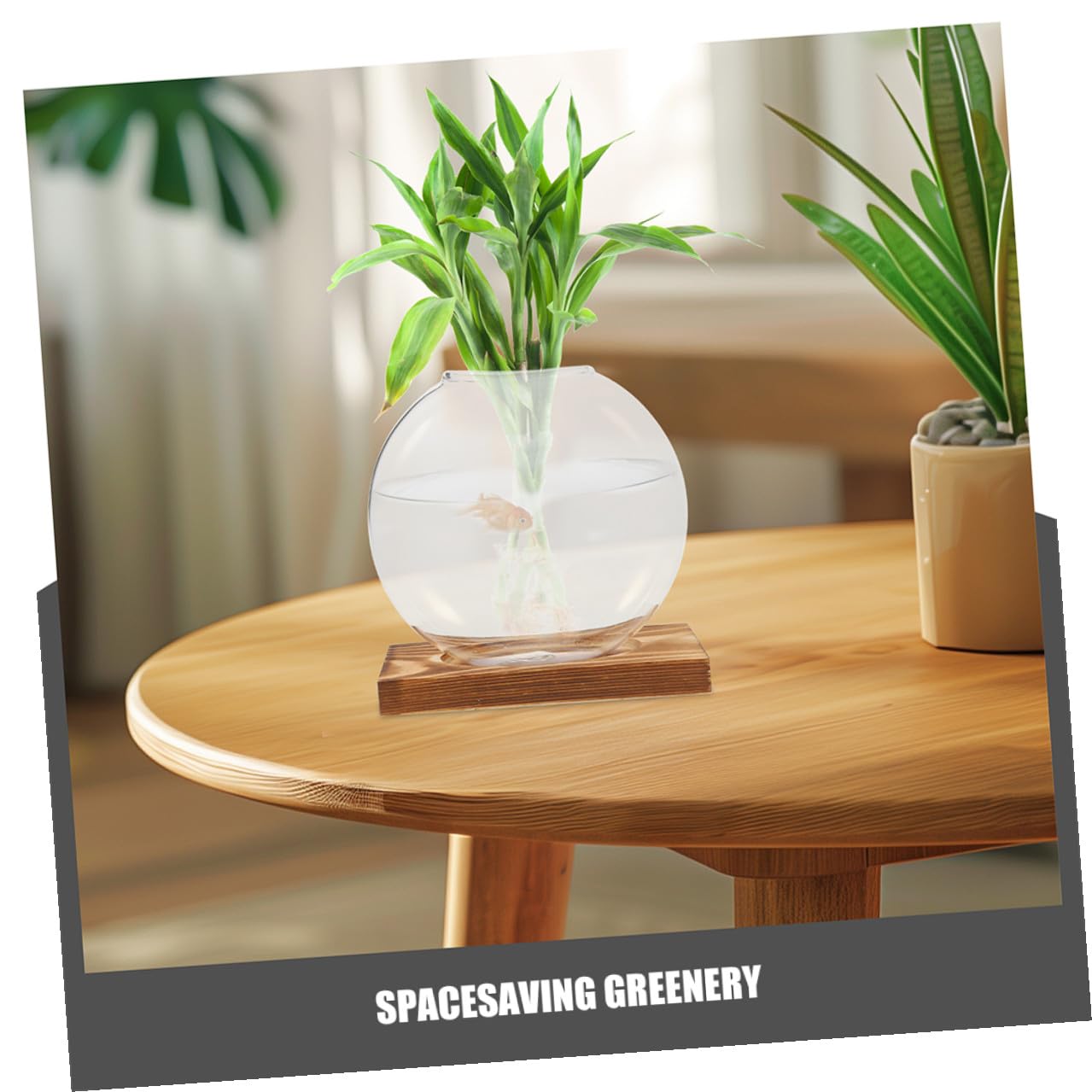 Sewroro 2pcs Hydroponic Glass Vases with Wooden Base, Propagation Stations for Indoor Plants, Terrarium Containers for Home Office Décor