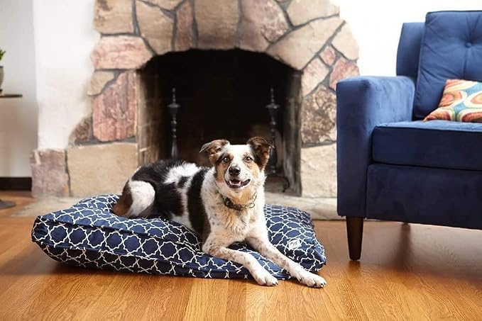 Molly Mutt Sheepy Wool-Filled Crate Pad, GOTS-Certified 100% Organic Cotton Canvas Cover with Soft 100% Natural Wool Insert, Ideal for Dog Bed or Kennel, Royals, 54" x 37" x 2.5"