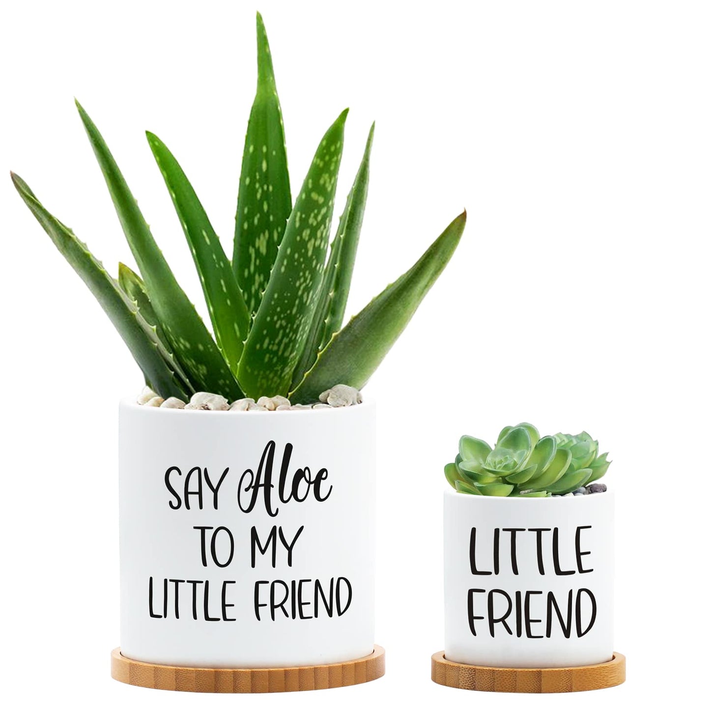 Tuitessine Say Aloe to My Little Friend Planter Plant Lover Set of 2 Spring Funny Pun Flower Pot with Bamboo Tray Ceramic Indoor Succulent Hole Spring Birthday Housewarming Gifts (No Plants)