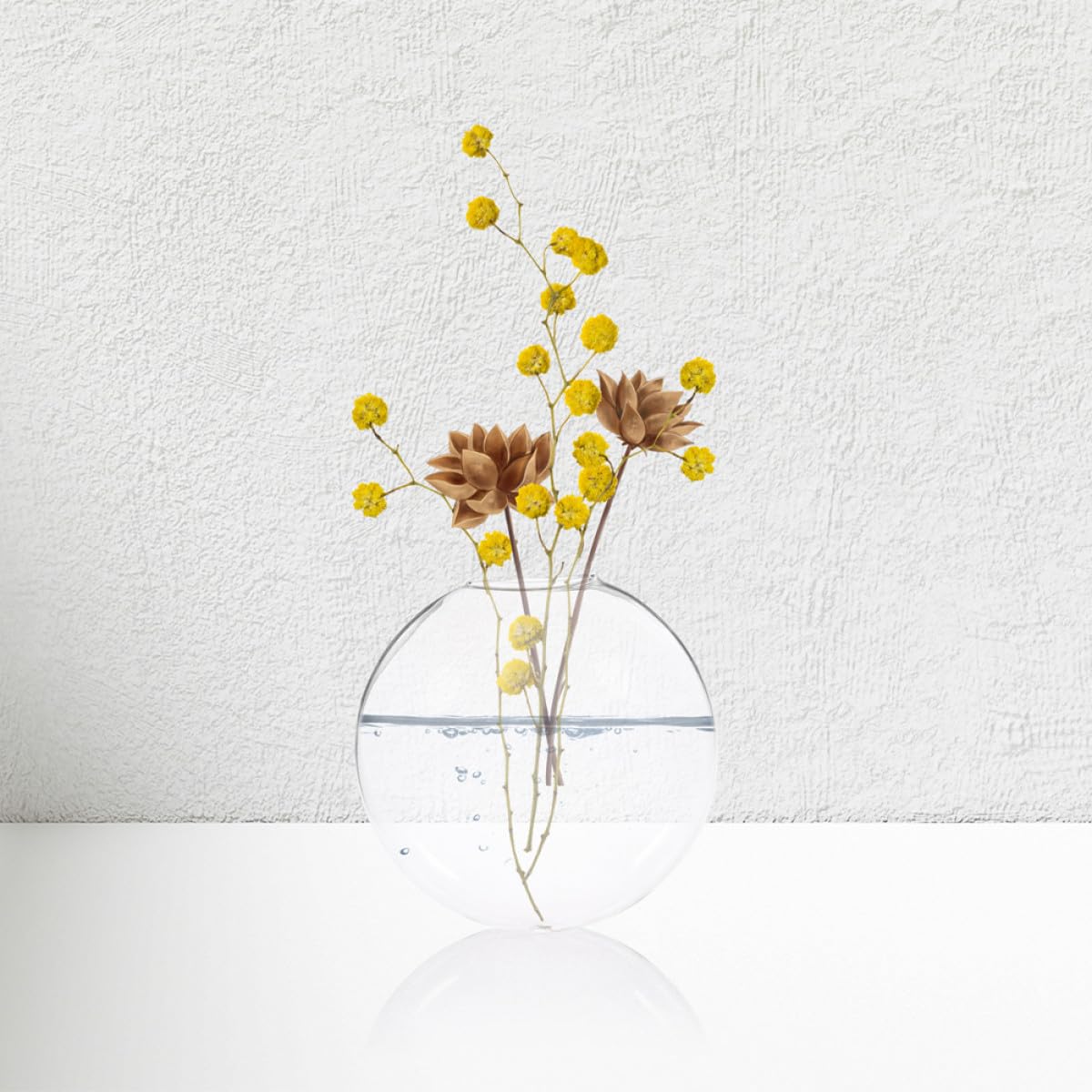 Toyvian 4pcs Wall Hanging Hydroponic Glass Plant Terrarium Vases Glass Wall-Mounted Flower Holders for Indoor Home Décor and Centerpiece