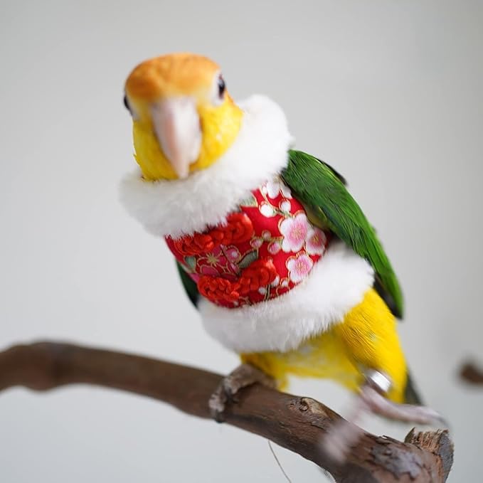 Bird Flight Suit & Clothes Cosplay Photo Prop for Parrots, Parakeet, Cockatiel & Sun Conure - Bird Hoodie Small Animals Apparel (Black, X-Large)