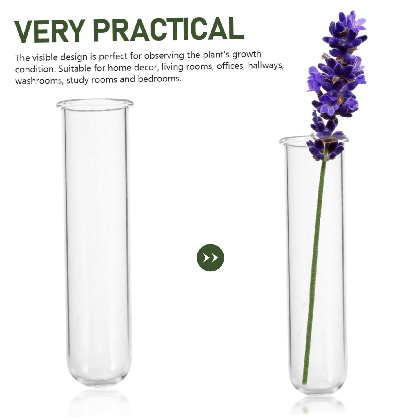 Toddmomy 5pcs Glass Test Tube Vase for Air Plants Live Houseplants Propagation Station Terrarium Plants