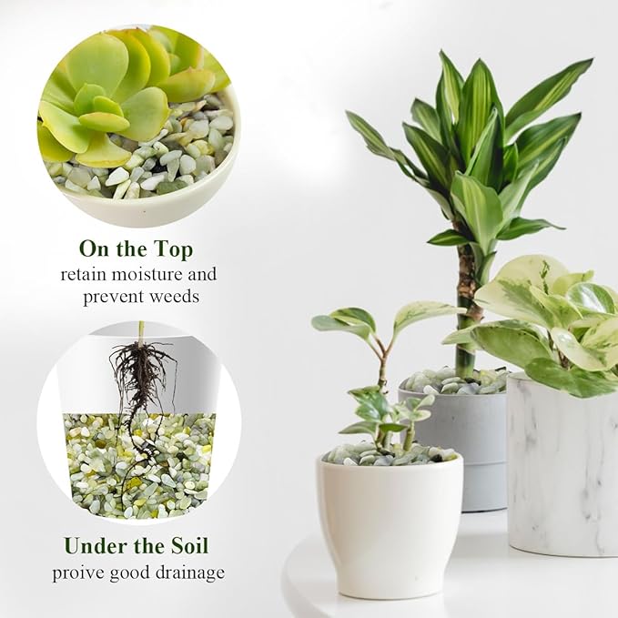 FANTIAN 5 lbs Jade Gravel Small Pebbles for Indoor Plants, Decorative Rocks for Plants Succulents Cactus Bamboo Vases Filler and Potted Drainage Gravel