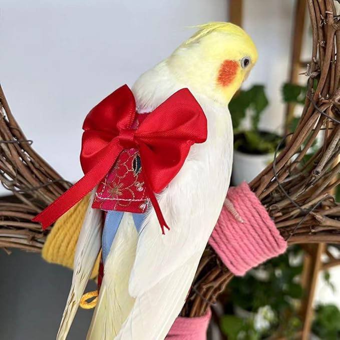 Bird Flight Suits Diapers, Parrot Flight Suits Diapers for Quaker Parakeets Cockatiels Conures Macaw African Grey, Bird Diaper, Parrot Clothes (Grey B,XS)