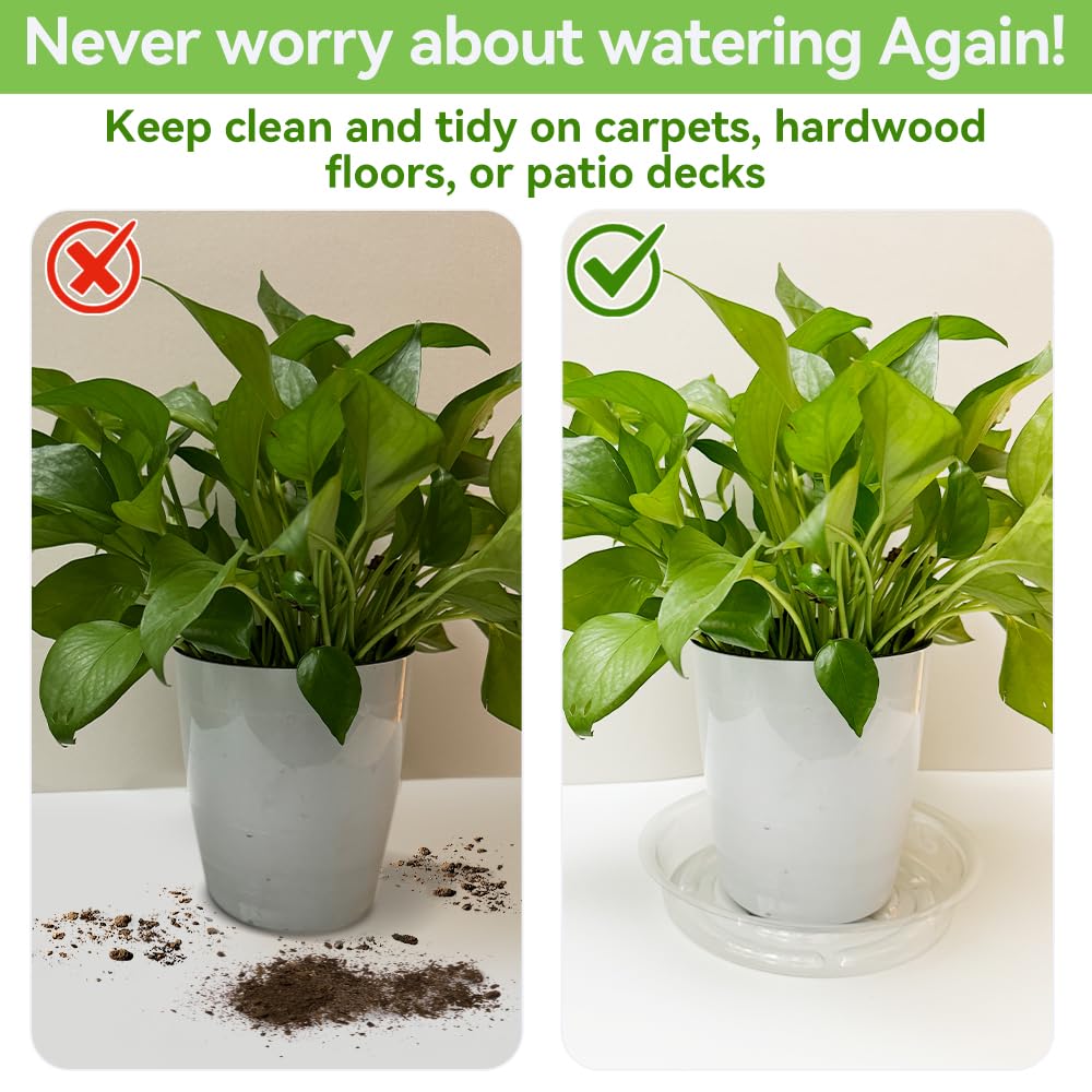 FufuHalo Clear Plant Saucers 50 Pack 8 Inch Plastic Plant Saucer, Durable Plant Pot Saucers Plant Drip Trays Used for Indoor and Outdoor Flower Pot