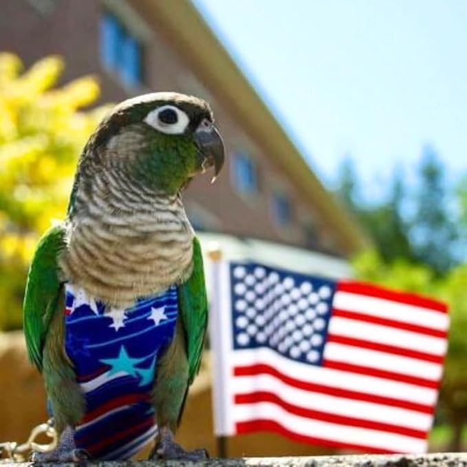Avian Fashions FeatherWear FlightSuit X-Small(2) Bird Diaper in Fireworks