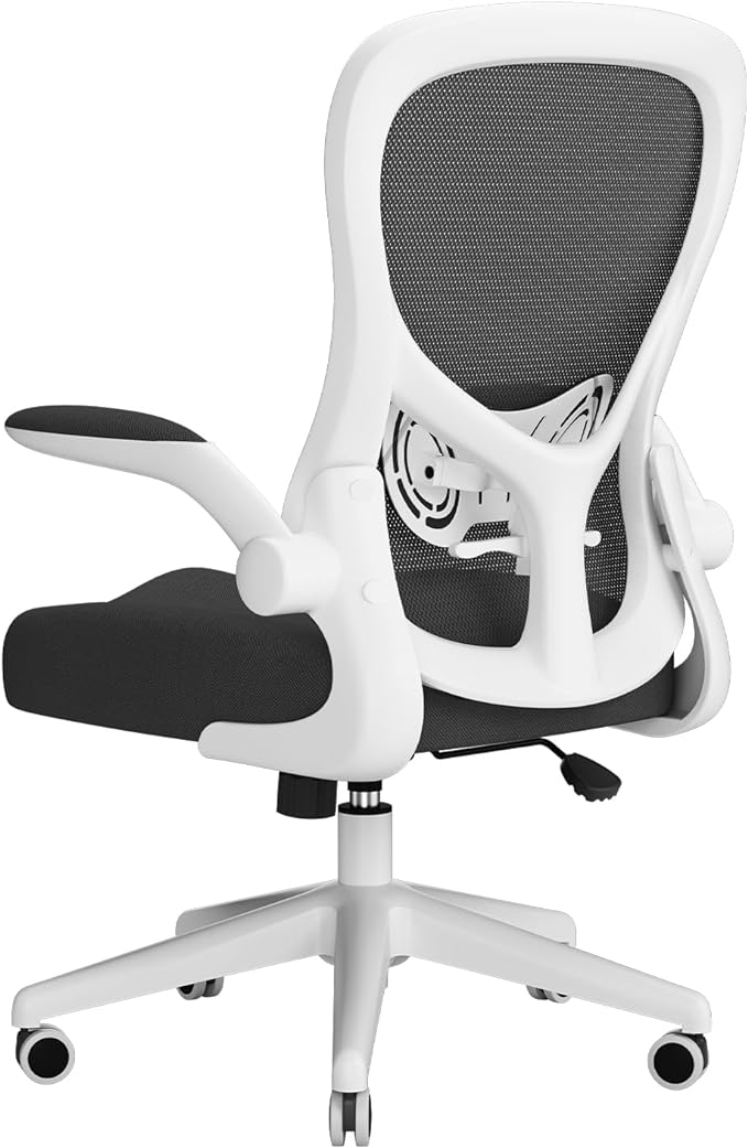 Hbada Office Chair Ergonomic Desk Chair, Office Desk Chairs
