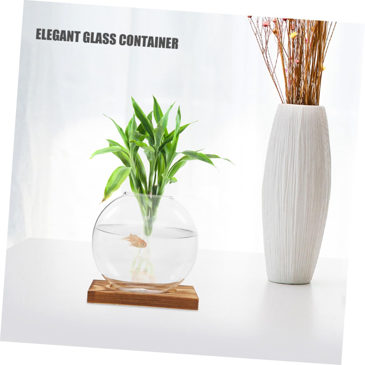 NUOBESTY 2pcs Glass Vase with Wooden Stand for Plant Propagation Hydroponic Terrarium Container Desktop Planter for Home and Office Decor