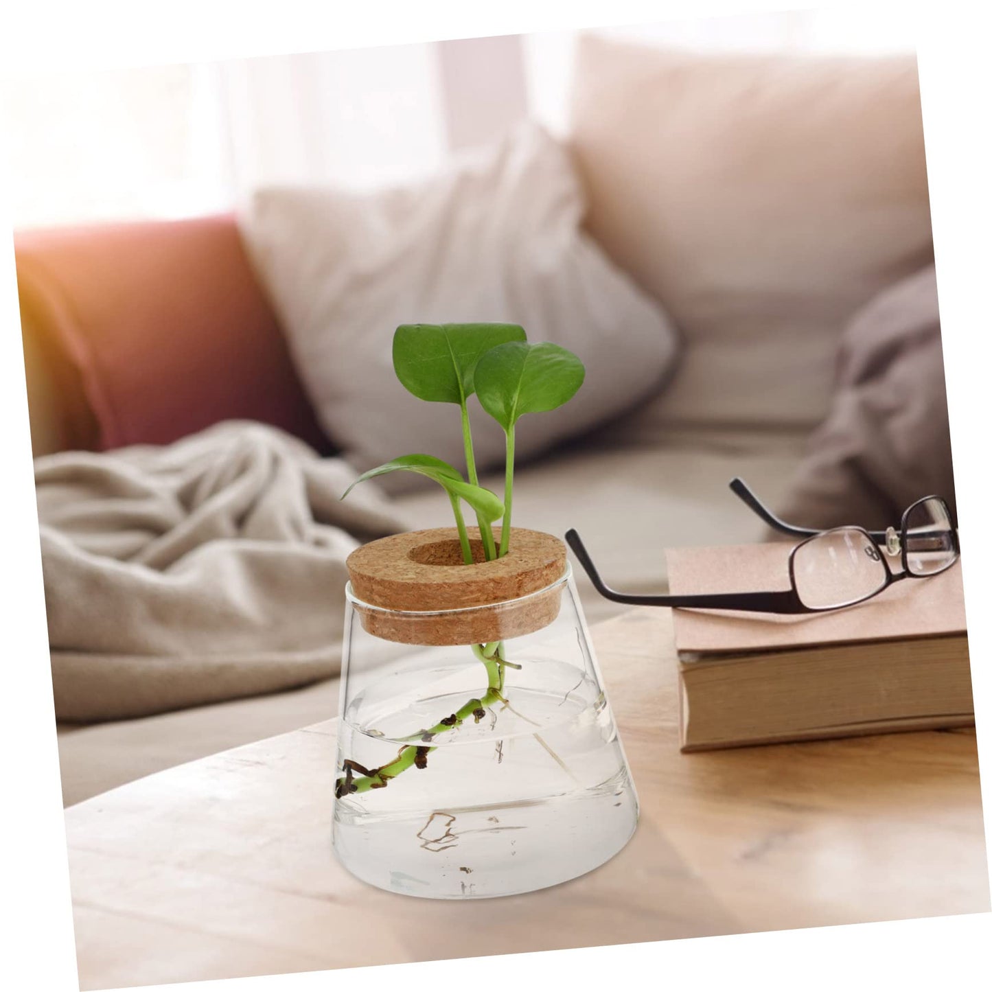 EPIGEIST 2Pcs Hydroponics Vase Planter Chic Desktop Glass Terrarium for Home Office Decor Plant Holder for Observation Growth Design