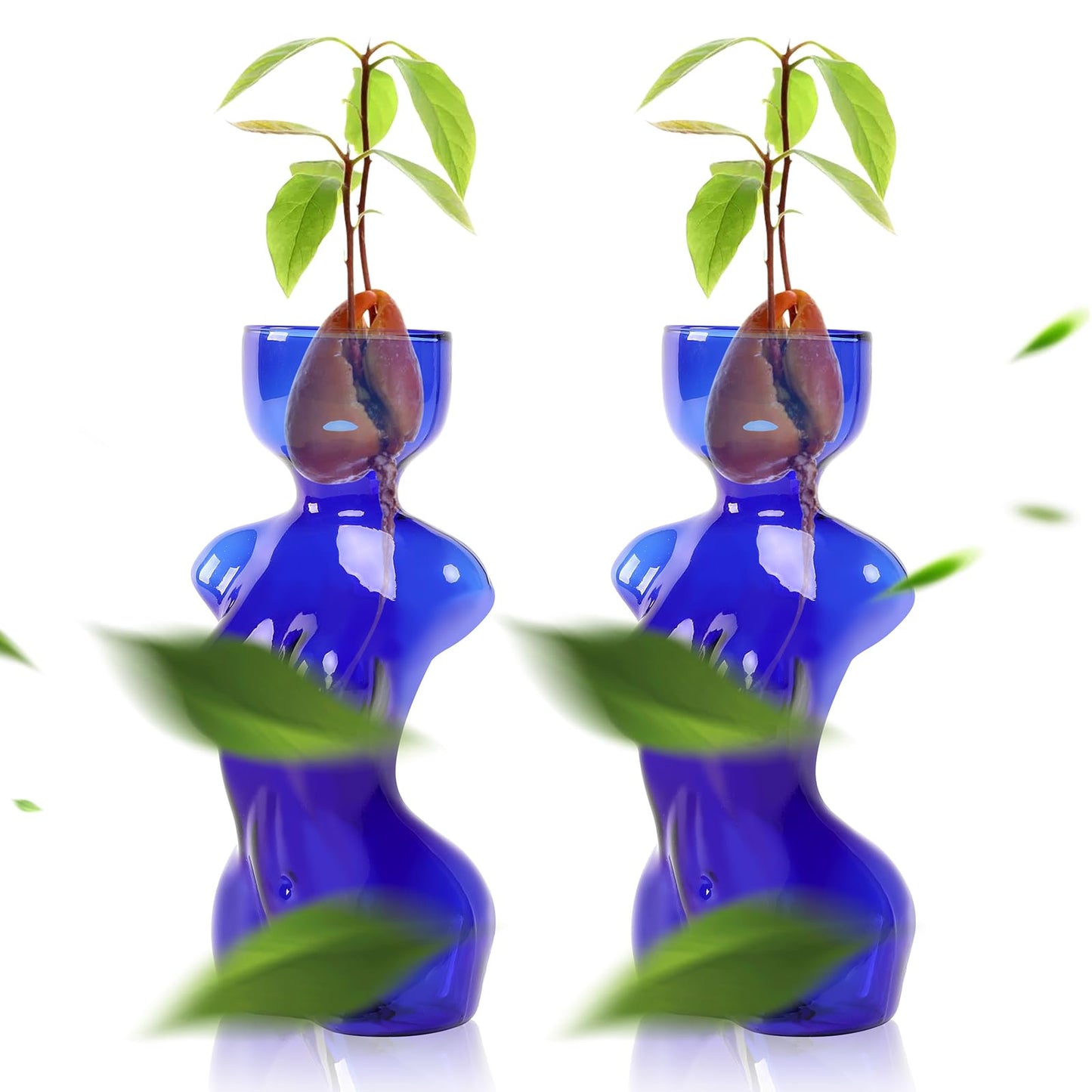 CYZglass Propagation Vases for Plants Plant Propagation Jars Unique Body Avocado Vase Glass Planter Perfect for Seed Starting Water Rooting and Home Decor Gift for Father