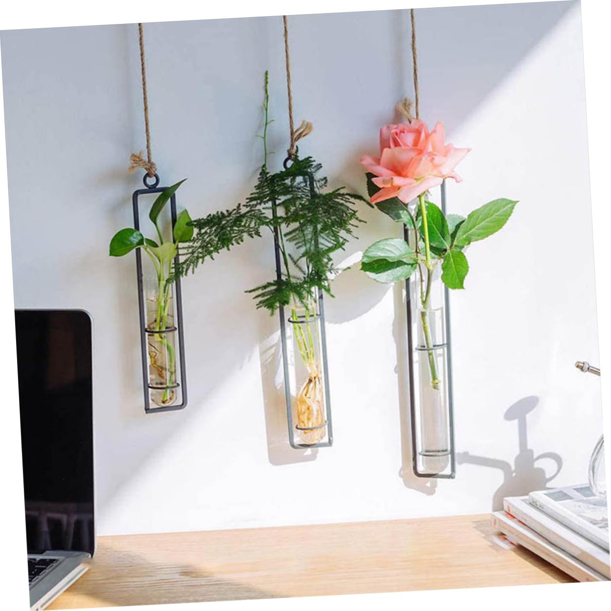 BESTonZON Wall Hanging Hydroponic Glass Test Tube Flower Vase Set with Iron Frame Plant Propagation Tubes for Home Garden Decoration Includes 3 Hemp Ropes and 3 Adhesive Hooks