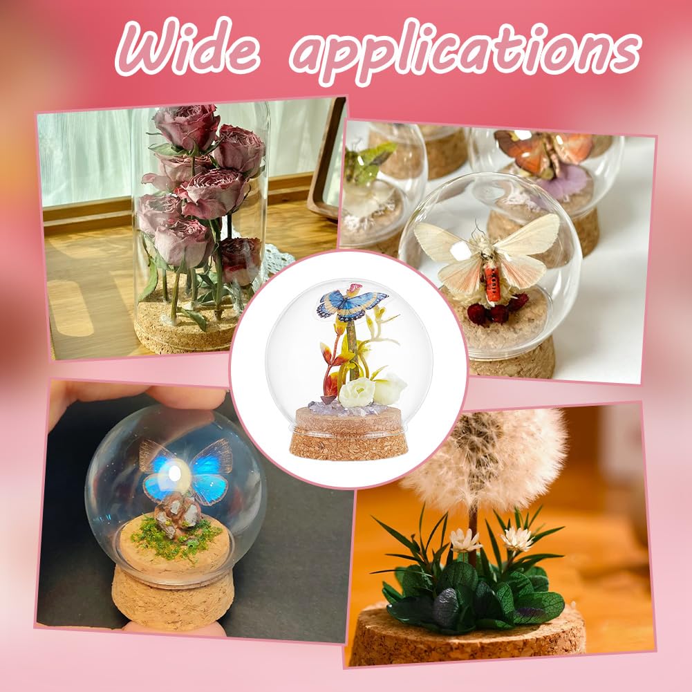 NBEADS 2 Pcs Eternal Flower Glass Dome Cloche, 3.4x3.5 Inch Glass Dome Cover with Cork Base Arch Bell Jar Cloche for Centerpieces Plants Rocks Specimens Decorations Crafts