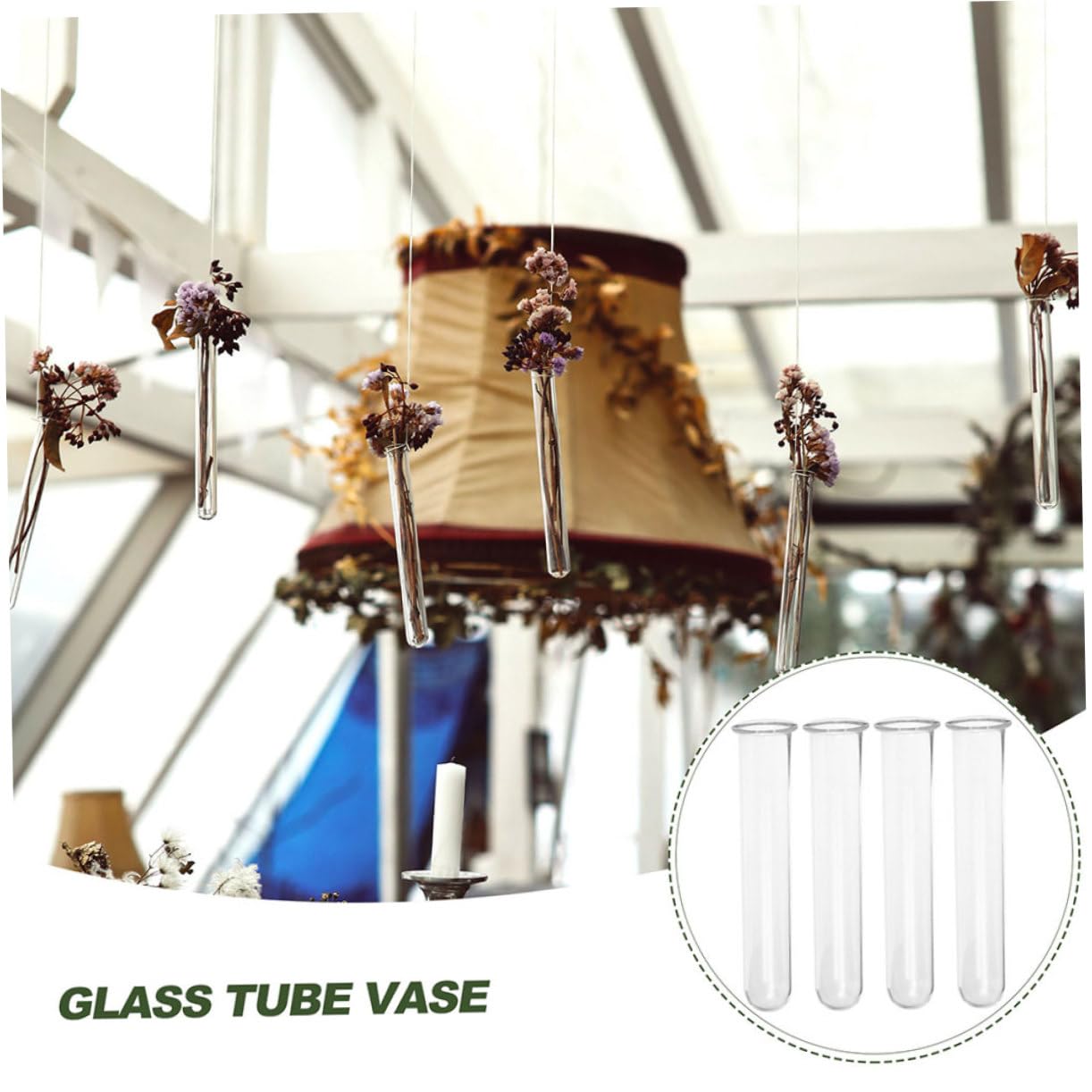 Ciieeo 6pcs Glass Test Tube Vase for Air Plant Terrarium Propagation Jars for Plants Glass Tube Vase Elegant Design for Home Office