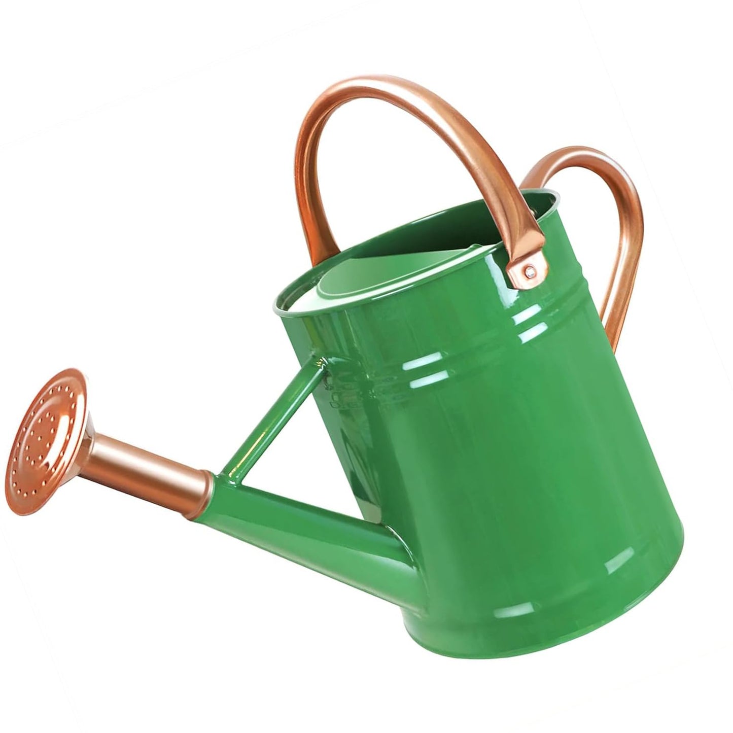 1 Gallon Metal Watering Can for Outdoor Garden, Plant & Flower Watering Pot for Gardening Bonsai Water Bucket with Sprinkler Head