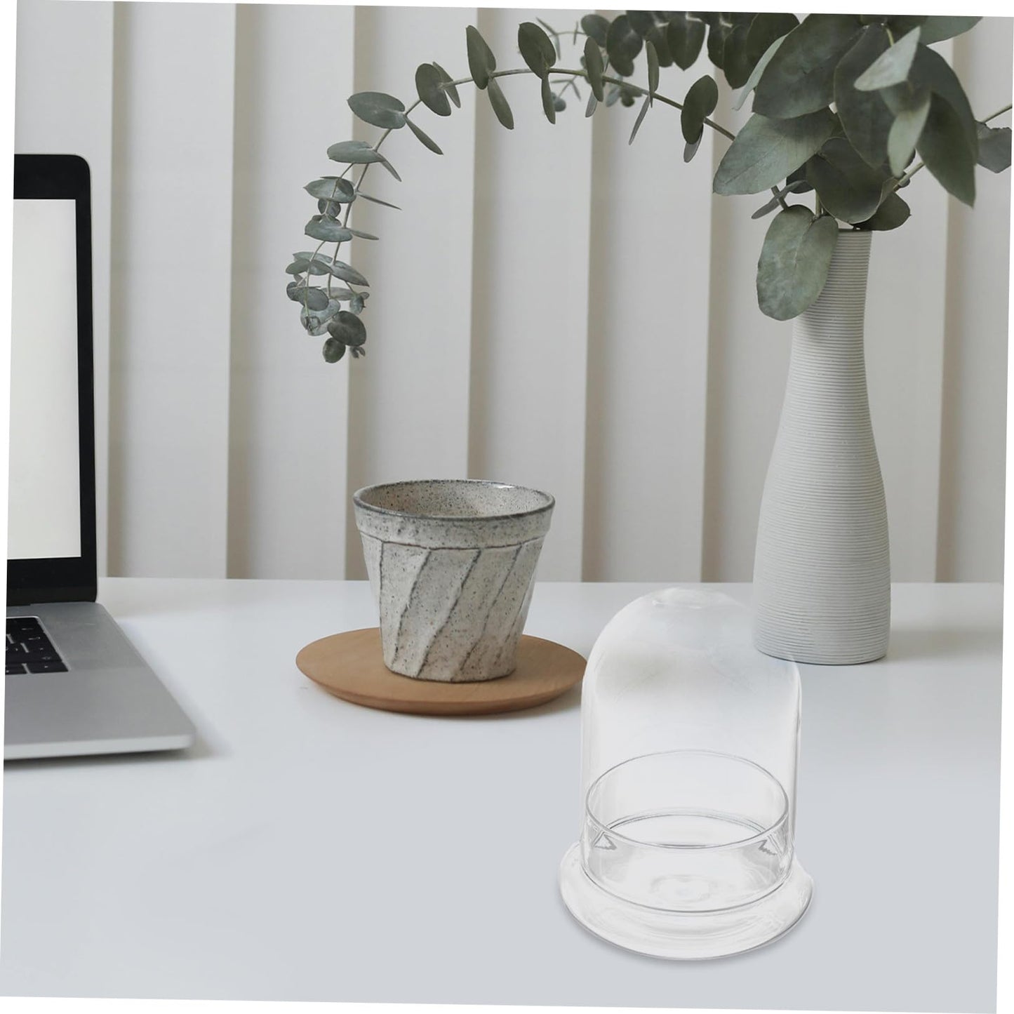 TOPPERFUN 1Pc Plant Bottle Chic Microlandscape Glass Terrarium for Home Decoration and for Plant Lovers