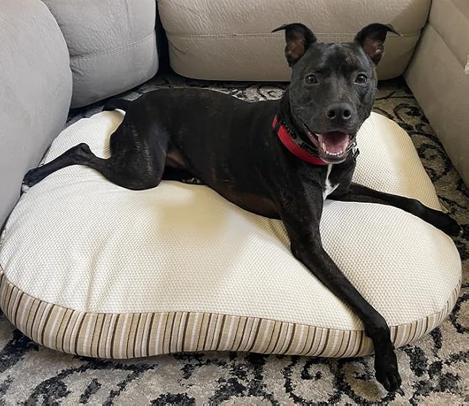 Essentia Kingston Luxury Organic Pet Bed - Small