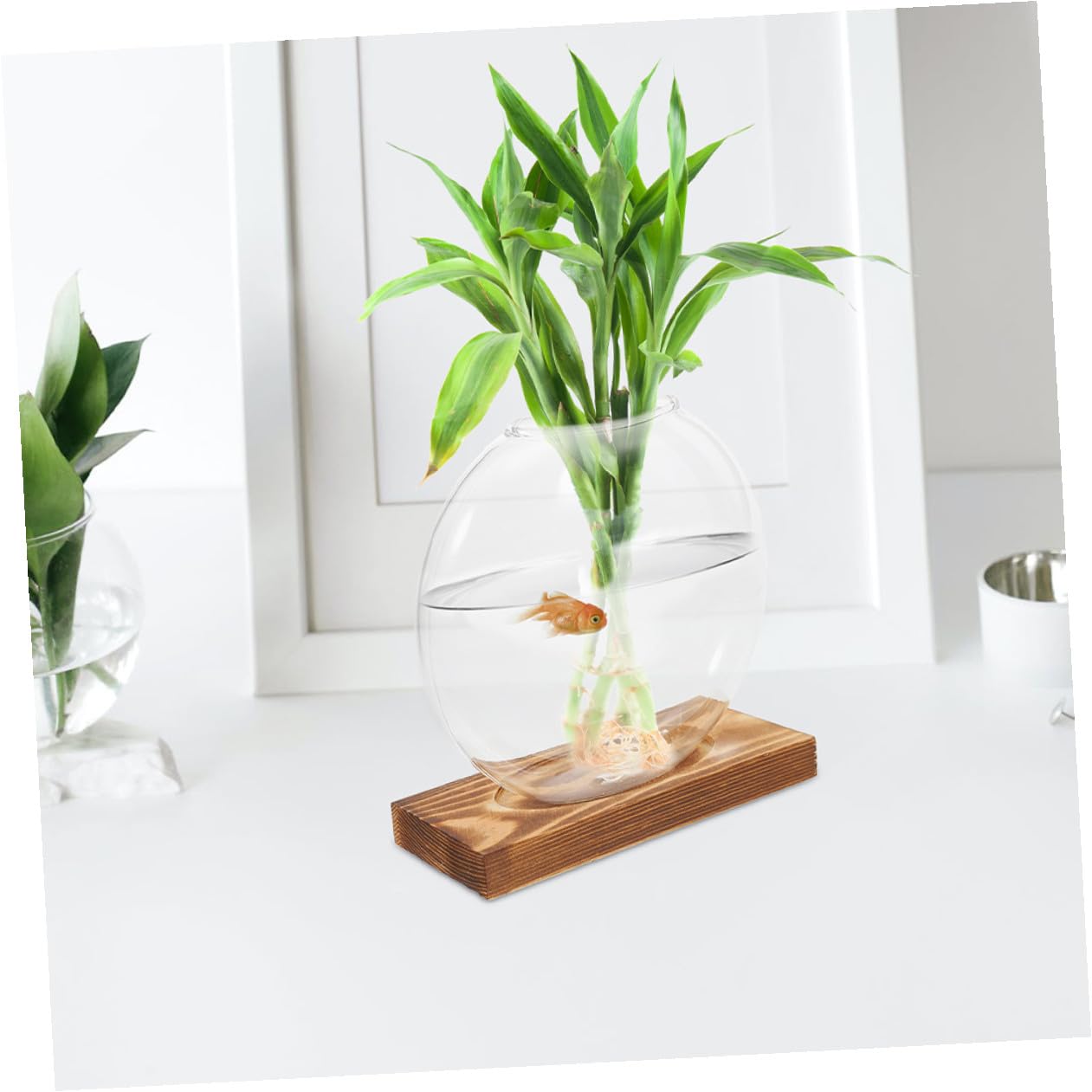 EPIGEIST 2pcs Hydroponic Glass Vase Containers with Wooden Base, Plant Terrarium for Indoor Propagation, Desktop Hydroponic Plant Vase for Home and Office Décor