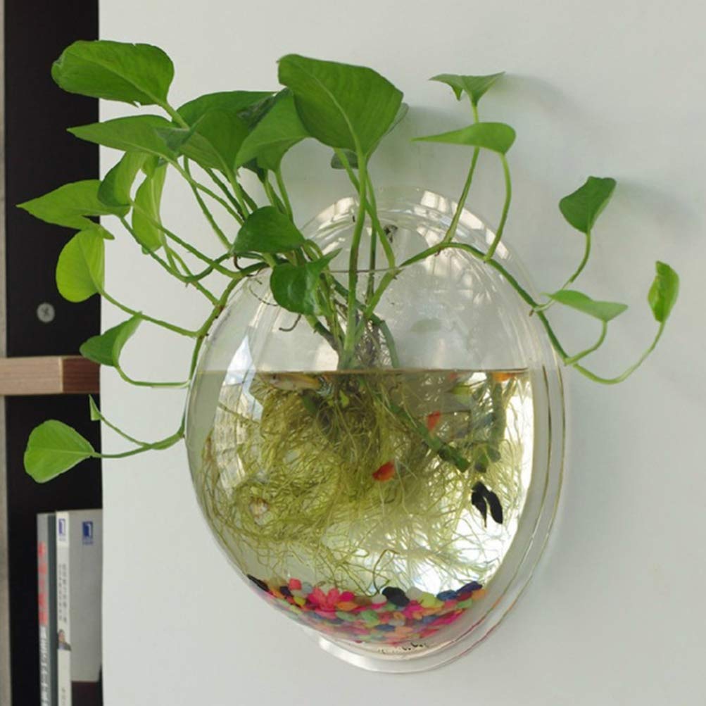 iplusmile Wall Mounted Planter 6.7 Inch, Clear Acrylic Hanging Bubble Vase for Plant Propagation Air Plants, Shatterproof Round Terrarium Bowl for Home Office Decor