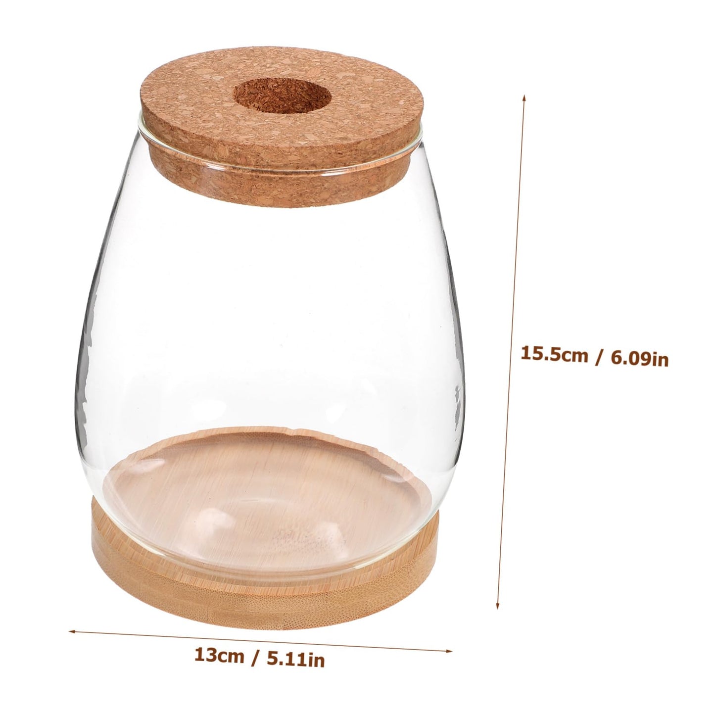 BESPORTBLE 1 Set Plant Terrarium Hydroponic Glass Vase Holder with Base Container for Plants Transparent Flower Arrangement Decor for Home Office and Garden