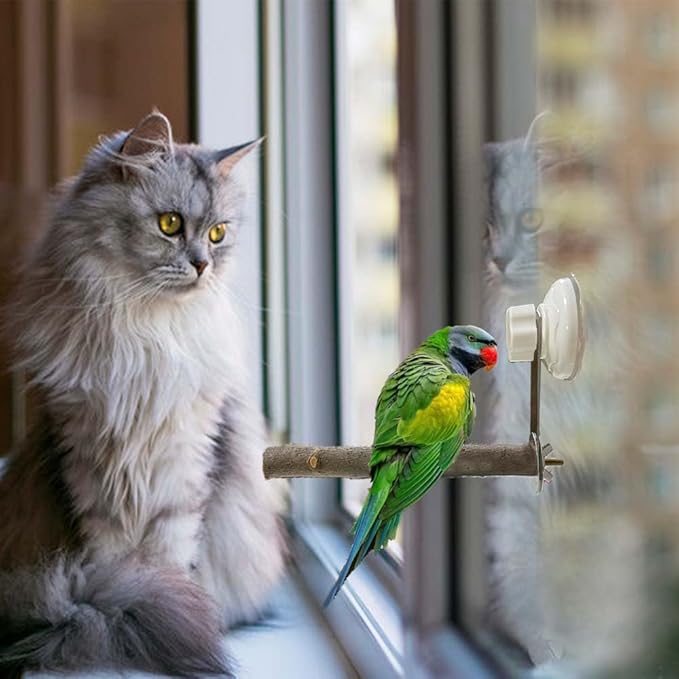 Natural Bird Perch Stand with Suction Cup for Window Mirror Car Shower Travel Bath for Small Medium Large Parrot Parakeet Cockatiel Concure Budgie Macaw Finch Y Shap Indoor Outdoor Outside Wild Birds