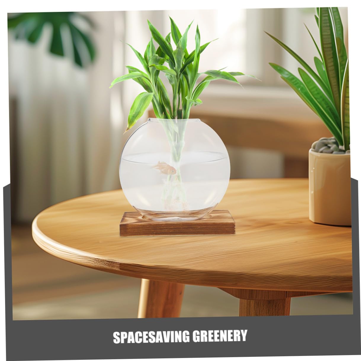 JUMPLAWN 2pcs Hydroponic Glass Vases with Wooden Bases for Desktop Plant Propagation Plant Terrariums Suitable for Home Office Balcony Decorative Glass Containers for Indoor Water
