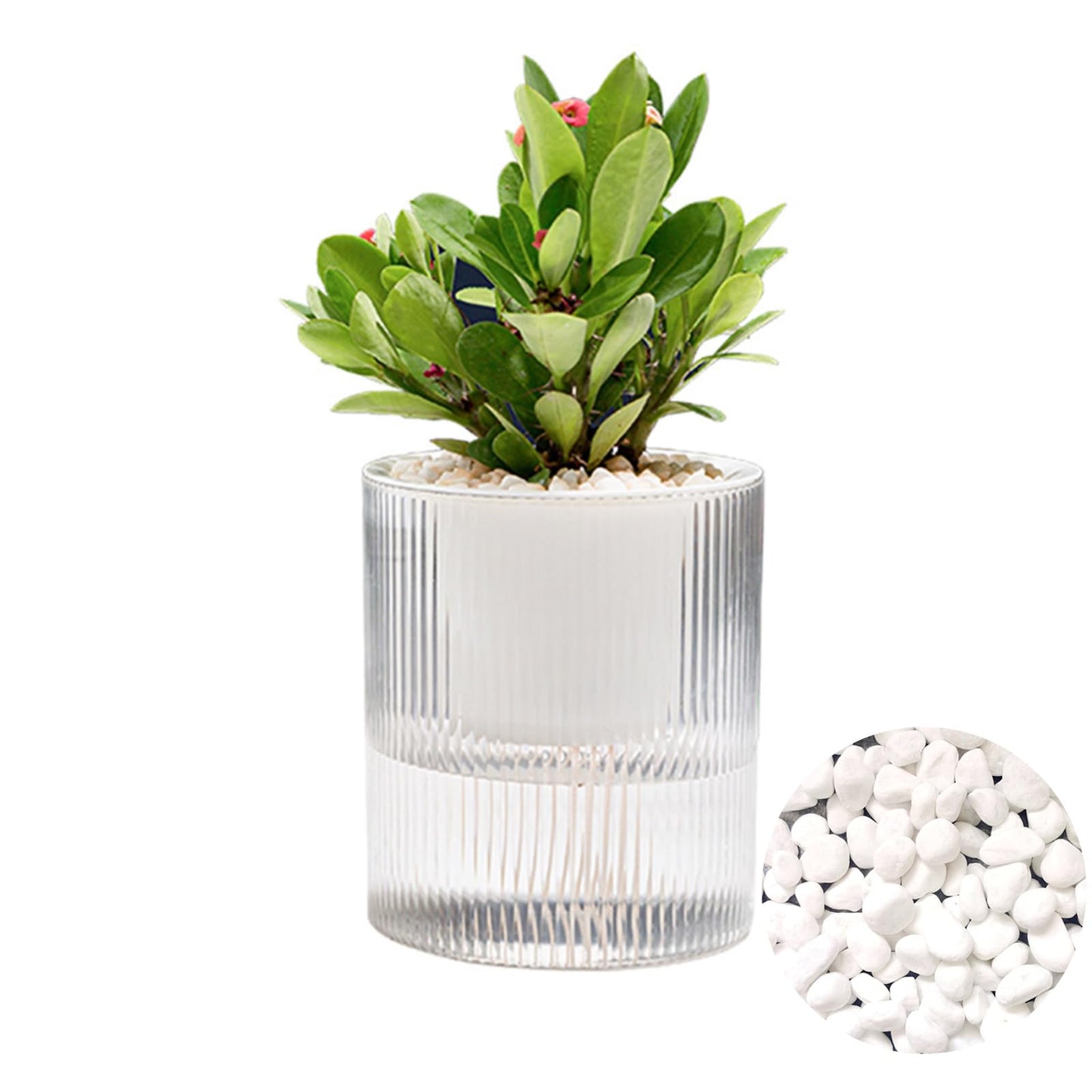 Gidary 7 Inch Self Watering Pots,Clear Self-Watering Planters Box for Indoor Plants Flowers Outdoor Windowsill Gardens Comes with 1 Bag of White Pebbles