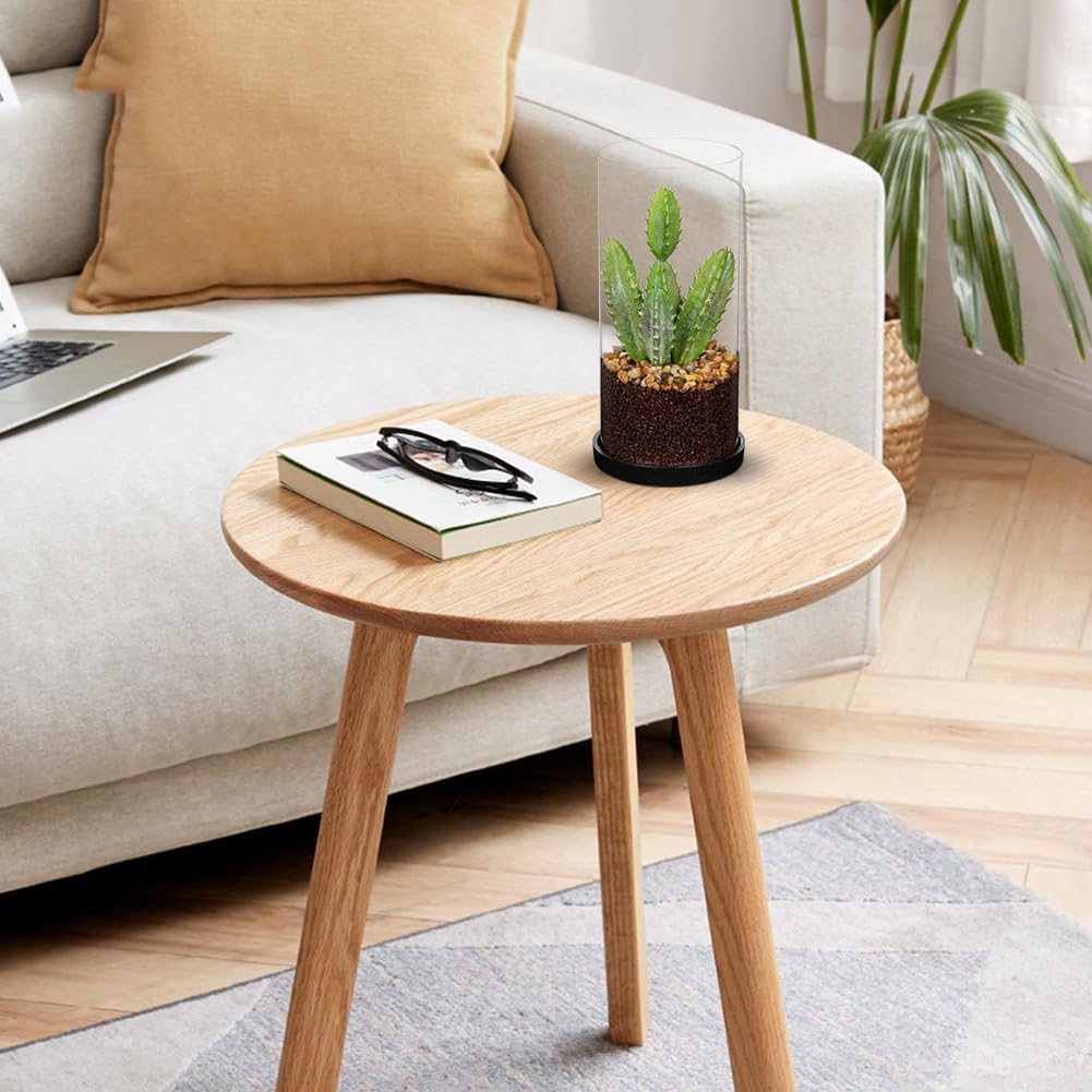 GnFlus Artificial Succulent in Cylindrical Glass Vase Small Fake Cactus Plant with Modern Glass Terrarium Faux Plants Indoor Gift for Plant Lover Decor for Home Office Table Desk Shelf