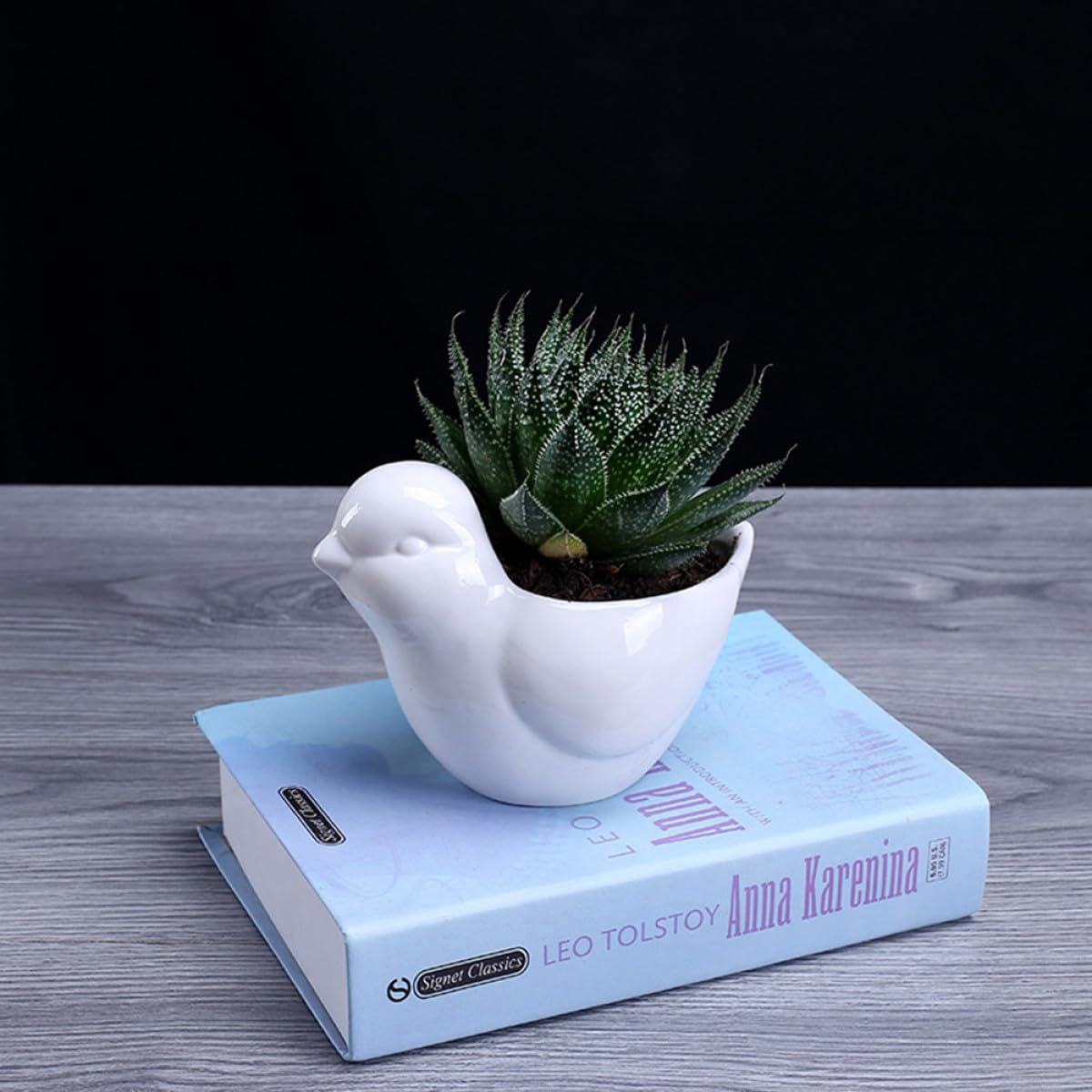 Yardenfun Ceramic Bird Shape Succulent Plant Pot Saucer Small White Flower Planter for Indoor Desktop Decor Home Gardening