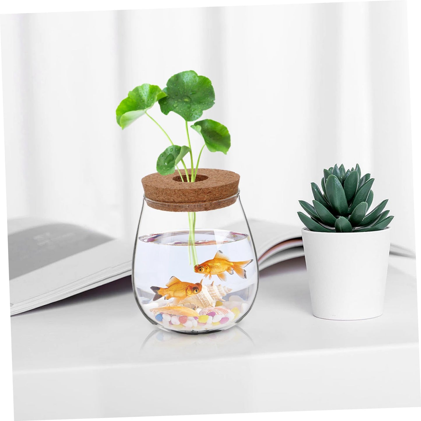 POPETPOP Modern Hydroponic Glass Vase Compact Desktop Planter for Terrariums Flower Holder for Aesthetic Home Decoration for Observing Plant Growth