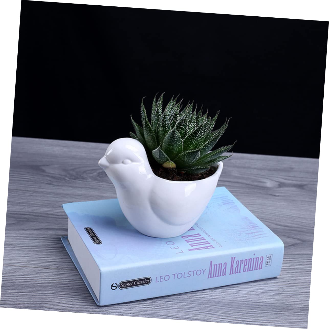 Toddmomy 1pc Ceramic Bird Shape Flower Pot Succulent Plant Pot Desktop Decor Home Office Garden Fairy Garden Accessories