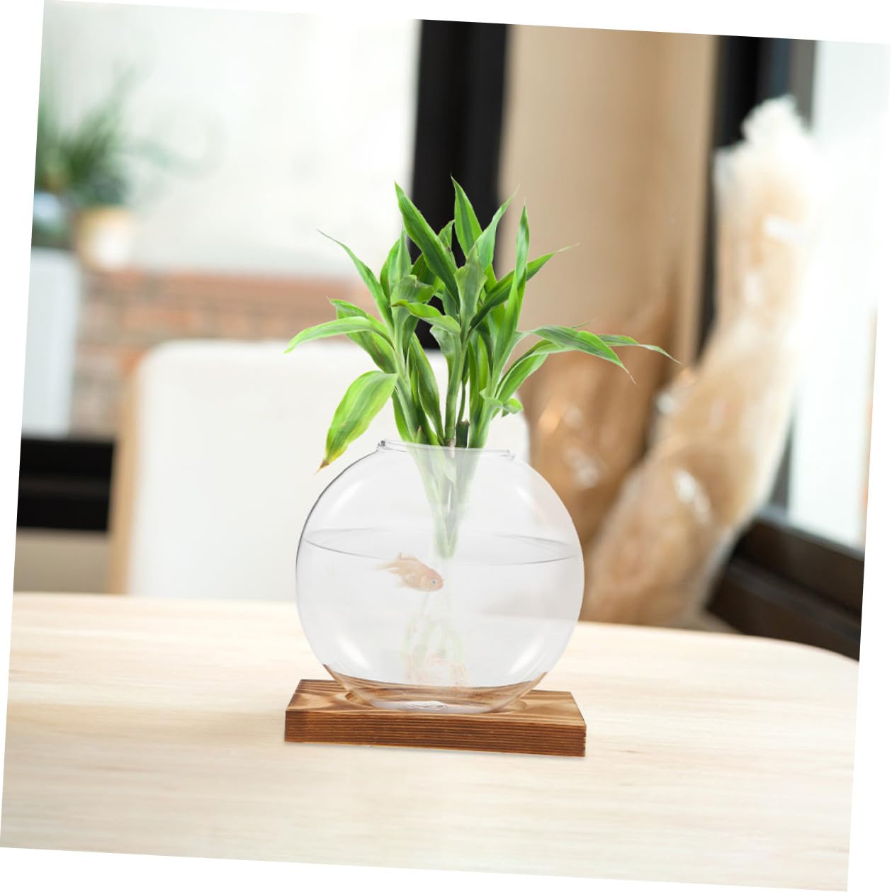 DEARMAMY 2pcs Glass Propagation Vase with Wooden Base, Indoor Hydroponic Plant Planter, Desktop Terrarium for Greenery, Home Office Shelf Decoration