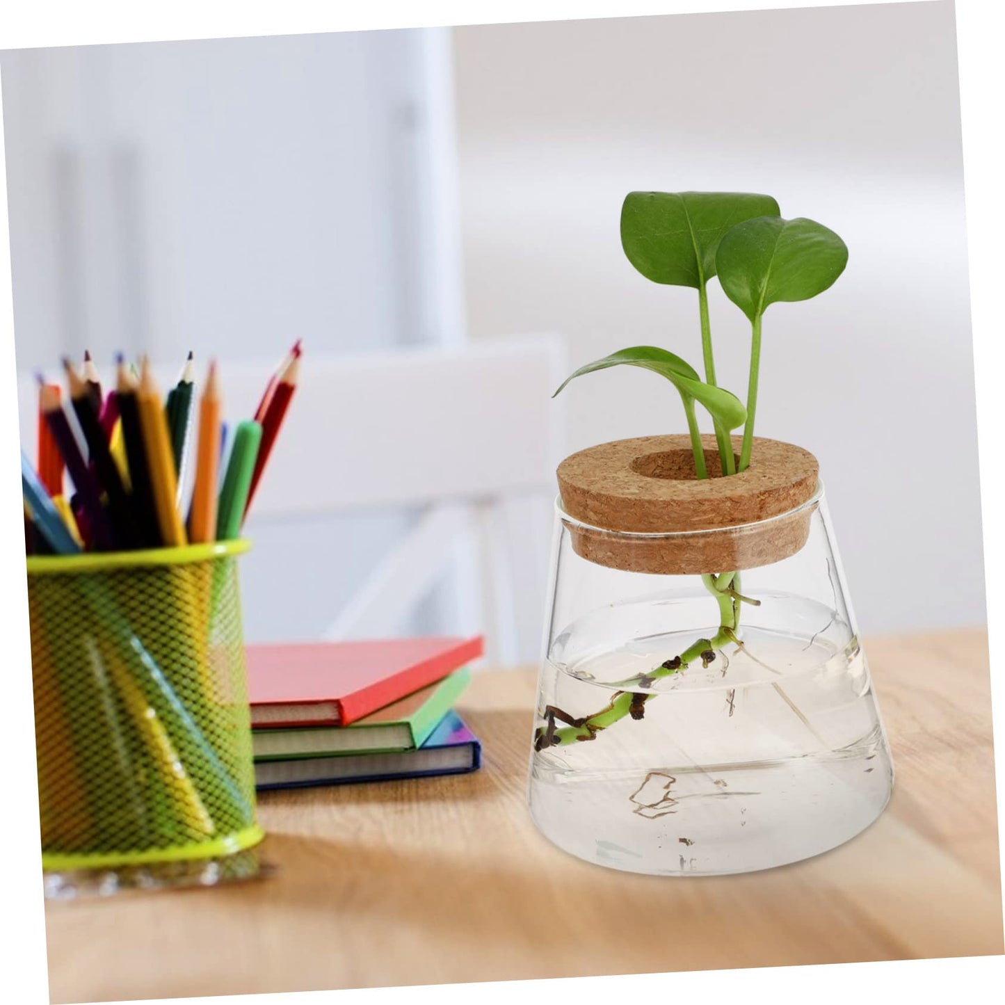 Ciieeo 2Pcs Glass Desktop Planter Vase for Hydroponics Chic Terrarium for Indoor Plants Home Office Decoration for Floral Arrangements and Plant Propagation