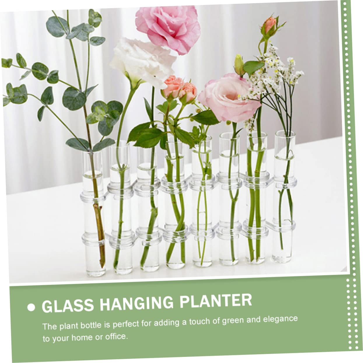 VICASKY Hydroponic Test Tube Vases 6-Piece Glass Plant Propagation Kit for Indoor Home Decor Wall Hanging Planter and Desktop Terrarium Arrangement