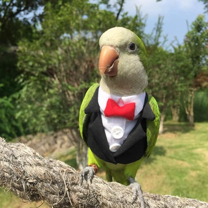 Bird Clothes Birds Flight Suit,Tuxedo Business Suit for Parrots African Greys Parakeet Cockatiel Sun Conure Christmas Party Birthday Cosplay Photo Prop Small Animals Apparel (S,Black Suit)