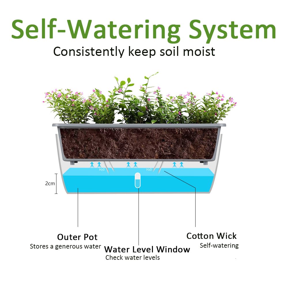 Self Watering Pots for Indoor Plants Rectangular Planter 2 Pack 17.32 inch , Water Level Window Prevent Overwatering for Herbs Vegetable Succulents Strawberry Pot for Garden Windowsill Indoor Outdoor