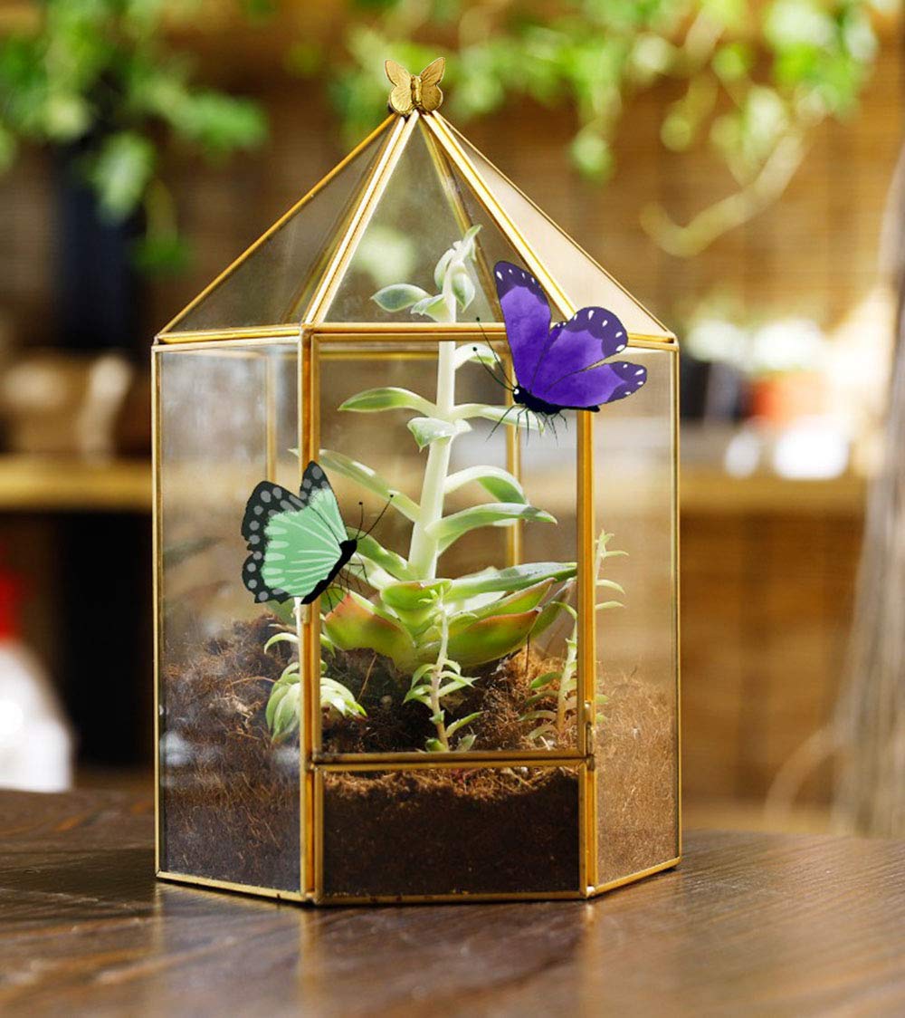 ELEGANTLIFE Glass Geometric Plant Terrarium,Succulent & Air Planter for Home Garden Office Decoration,No Plants(Gold Hexagonal)