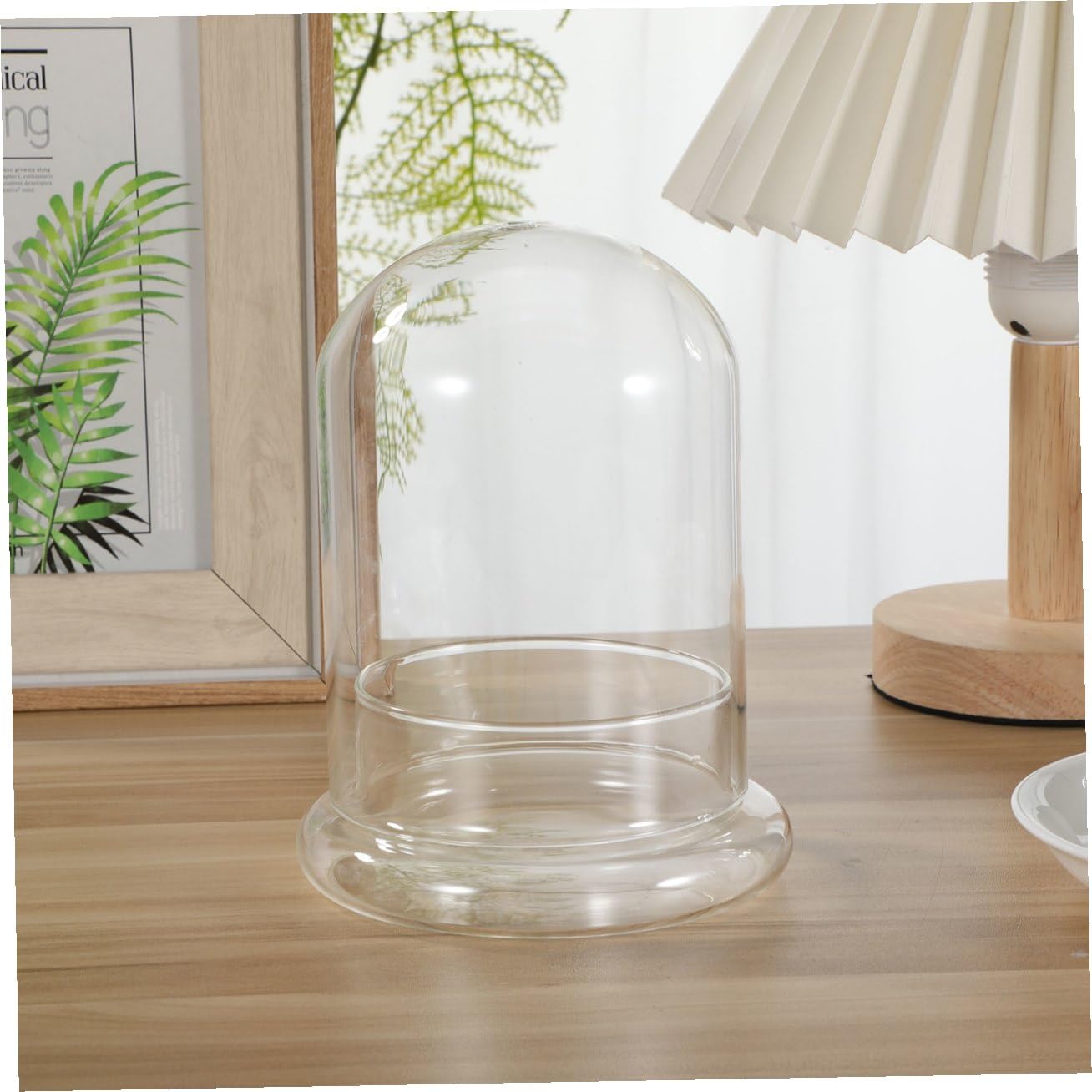 IMIKEYA Glass Moss Bottle for Terrarium Propagation Planters Plant Accessories Indoor Decor Fairy Garden Kit