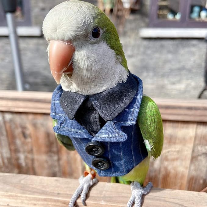 Bird Clothes Birds Flight Suit,Tuxedo Business Suit for Parrots African Greys Parakeet Cockatiel Sun Conure Christmas Party Birthday Cosplay Photo Prop Small Animals Apparel (L,Denim Suit)