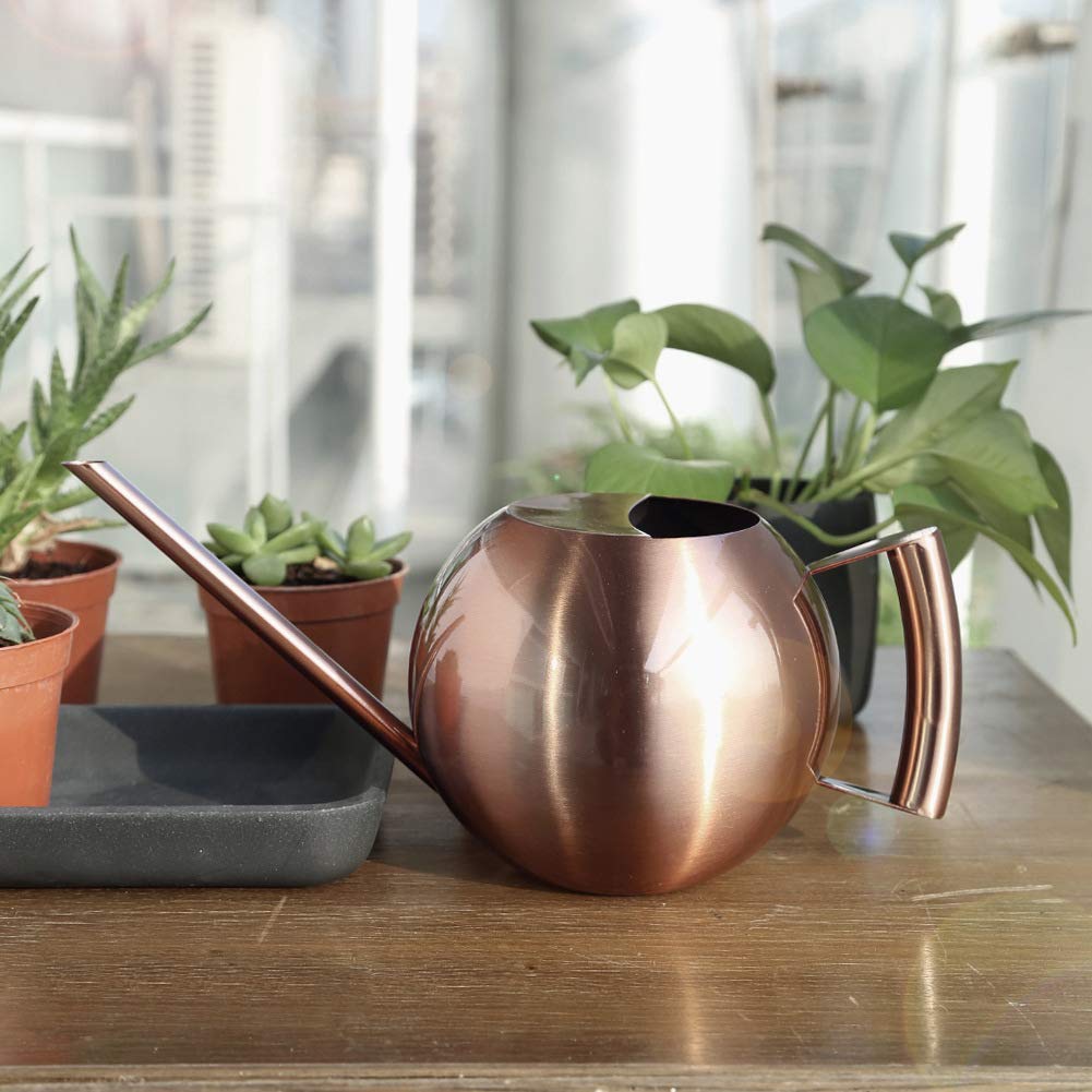 Chemlliy Watering Can with Long Spout and Comfortable Handle, 35 oz/1000ml Small Watering Can for Indoor Plants, Stainless Steel Garden Watering Pot for Indoor House Plants Bonsai Flower Decorative