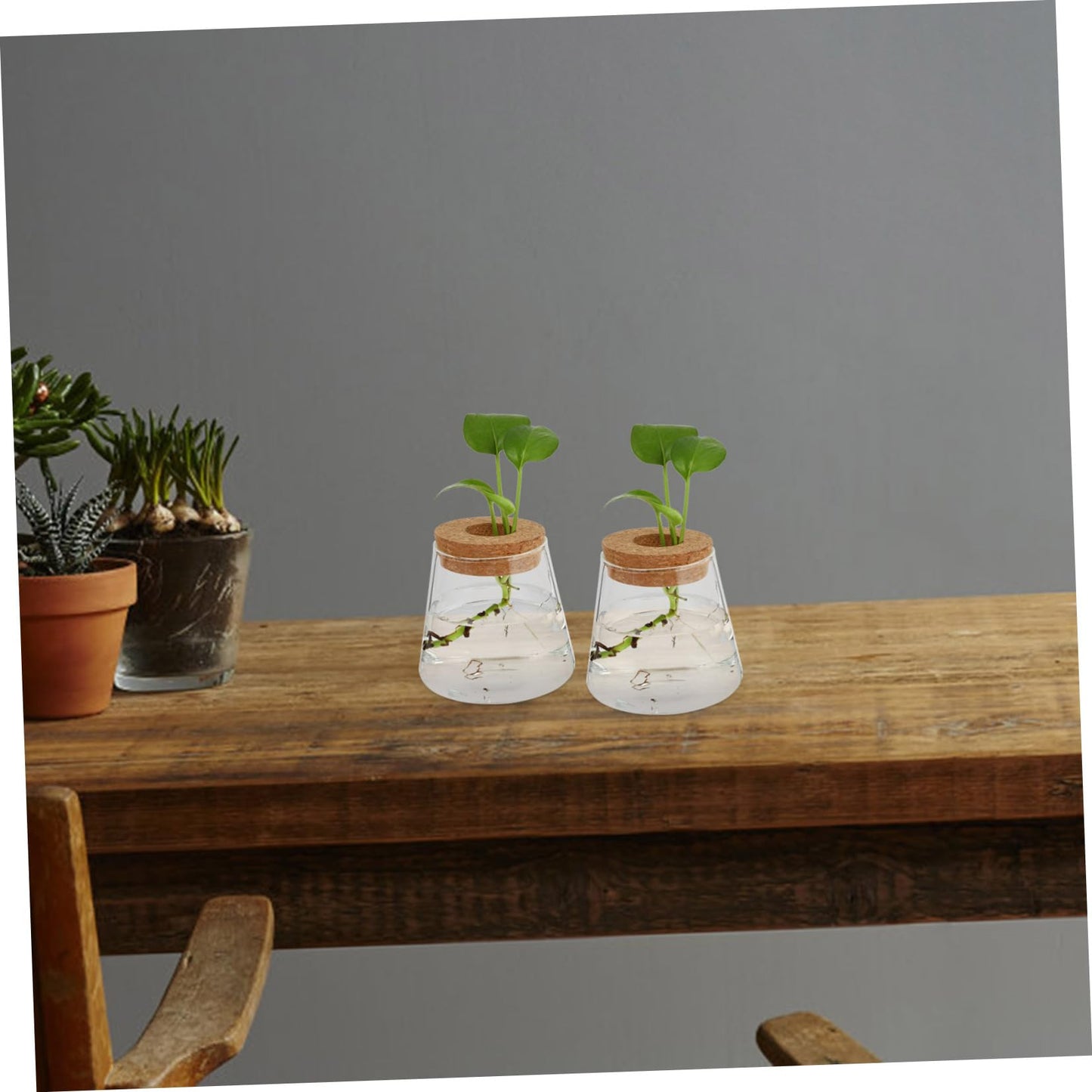 Zerodeko 2pcs Glass Eco Bottle Small Plant Vase for Indoor Terrarium Decoration Water Plants Home Decor Vase