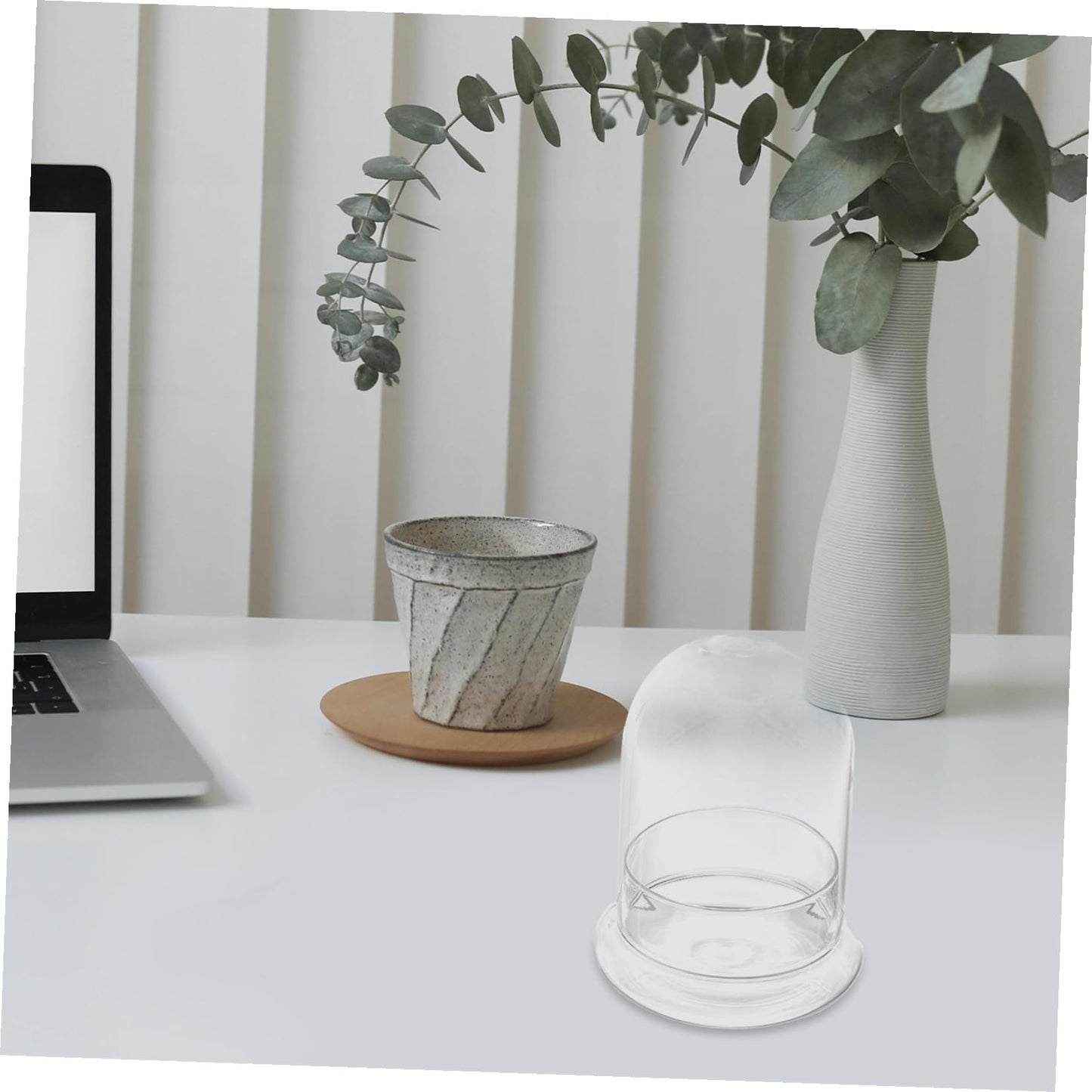 OUNONA Moss Ecosystem Bottle DIY Miniature Terrarium Glass Bottle Decorative Plant Vase for Home and Office Desktop Plant Container