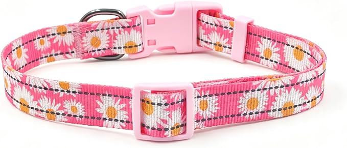 Dog Collar Leash Set, Floral Pattern, with Safety Reflective Strips, 5 ft Matching Leash, Neoprene Padded Handle, Adjustable 4 Sizes for Small Medium Large Dogs.(S, Pink Daisy)